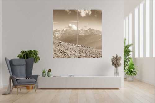 Bergschafe am Schafreiter mit Blick zum Karwendelhauptkamm - Schönste Karwendelweiden - 4er Split, Größe ca. 180x180cm, Seitenverhältnis 1:1 - Schafe im Karwendel - weitere Infos unter https://www.kriner-weiermann.de