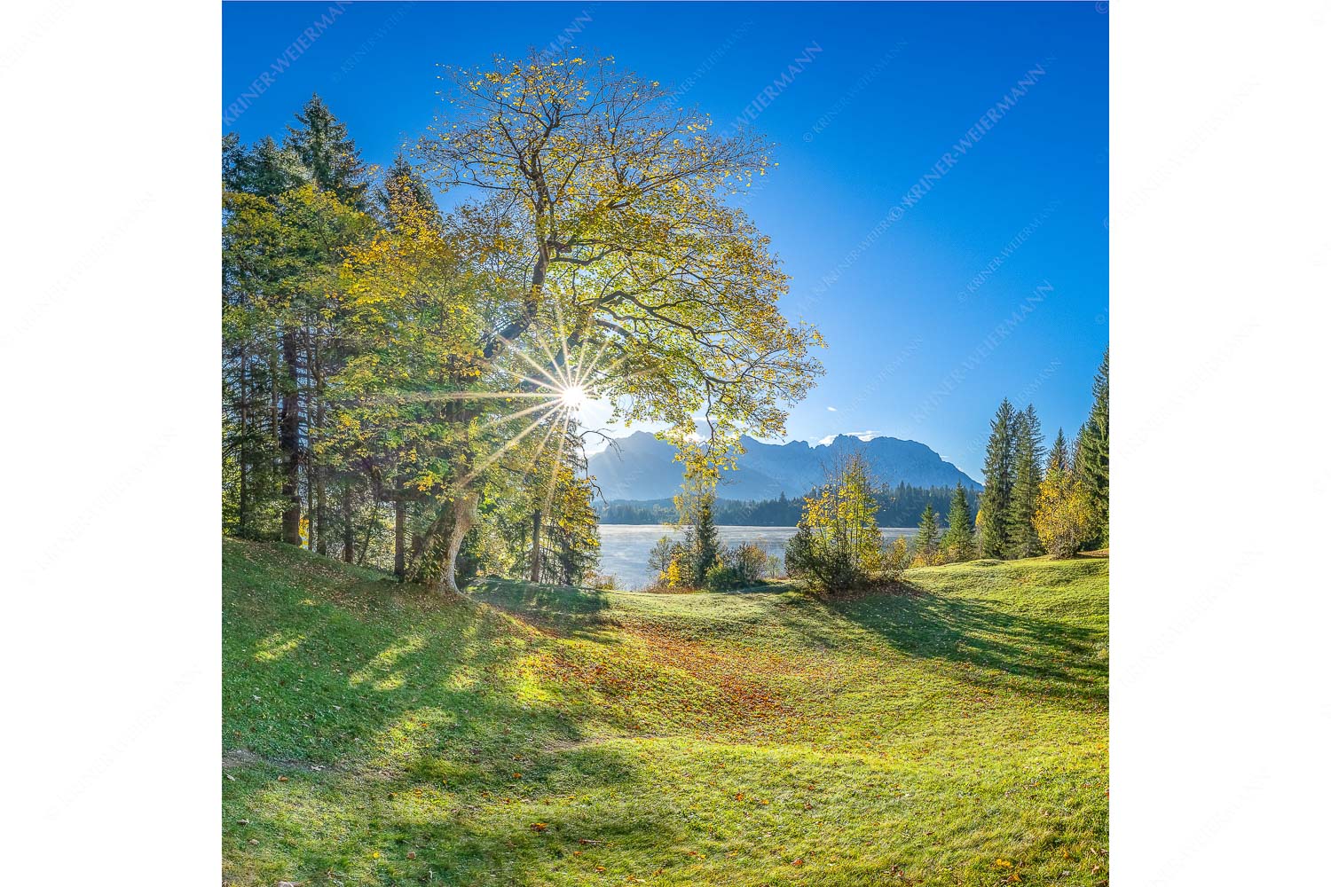 Schönste Plätze II – Seitenverhältnis 1:1 — Alter Ahorn am Barmsee Blick über den Barmsee zum Karwendelgebirge