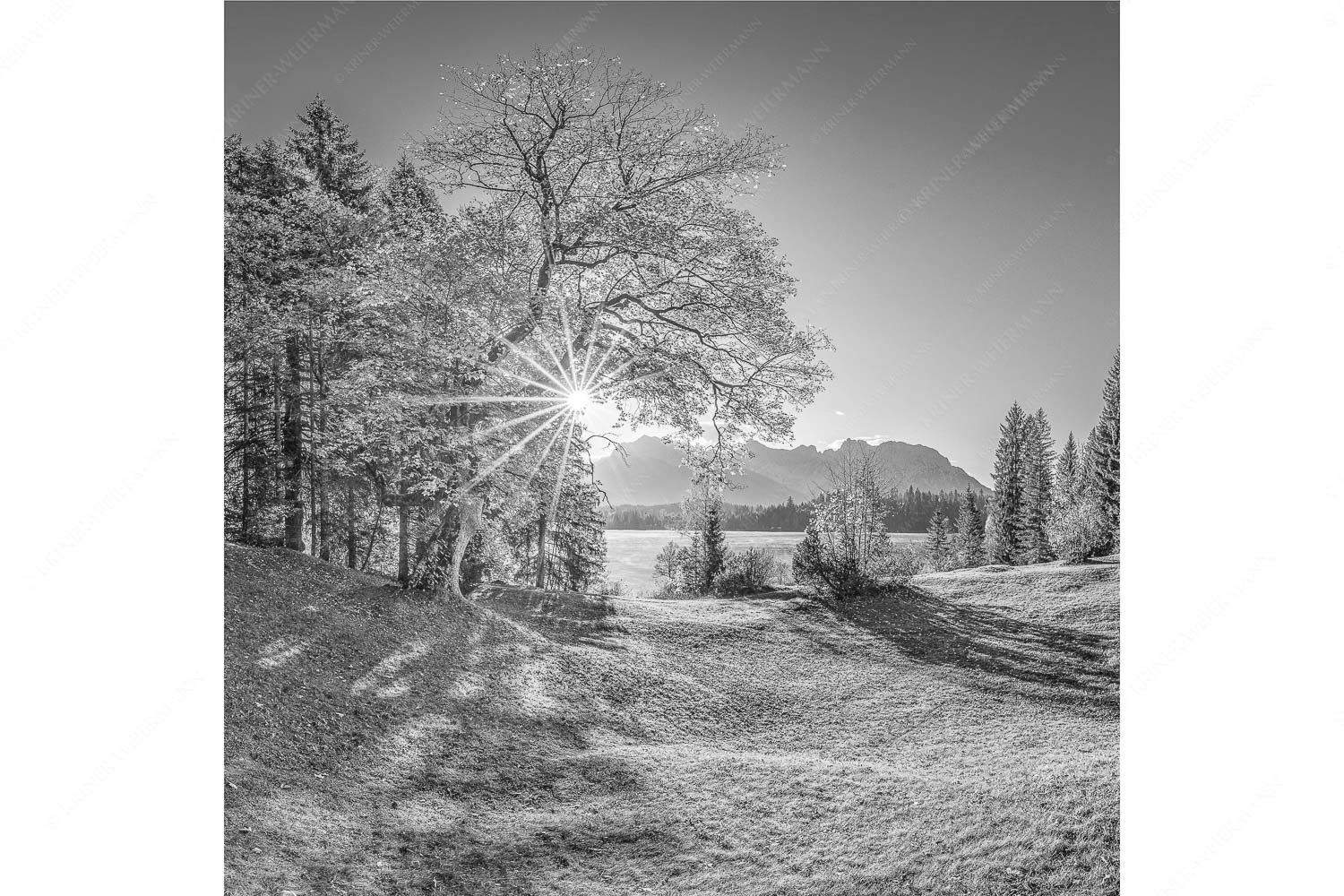 Schönste Plätze II – Seitenverhältnis 1:1 — Alter Ahorn am Barmsee Blick über den Barmsee zum Karwendelgebirge
