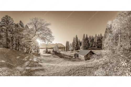 Blick über den Barmsee zum Karwendelgebirge - Schönste Plätze II - Seitenverhältnis 2:1 - Alter Ahorn am Barmsee - weitere Infos unter https://www.kriner-weiermann.de
