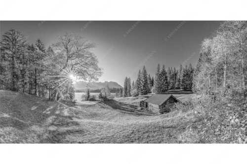 Blick über den Barmsee zum Karwendelgebirge - Schönste Plätze II - Seitenverhältnis 2:1 - Alter Ahorn am Barmsee - weitere Infos unter https://www.kriner-weiermann.de