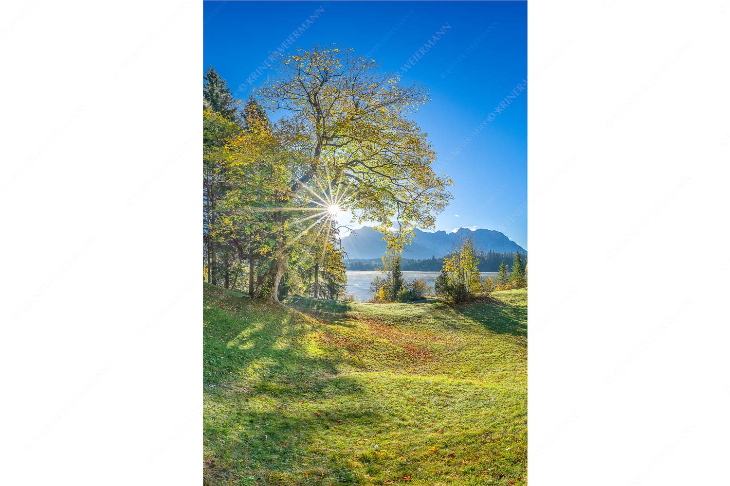 Schönste Plätze II – Seitenverhältnis 2:3 — Alter Ahorn am Barmsee Blick über den Barmsee zum Karwendelgebirge