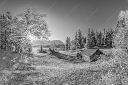 Blick über den Barmsee zum Karwendelgebirge - Schönste Plätze II - Seitenverhältnis 3:2 - Alter Ahorn am Barmsee - weitere Infos unter https://www.kriner-weiermann.de