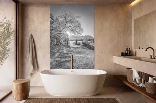 Blick über den Barmsee zum Karwendelgebirge - Schönste Plätze II - Größe ca. 160x240cm, Seitenverhältnis - Alter Ahorn am Barmsee - weitere Infos unter https://www.kriner-weiermann.de