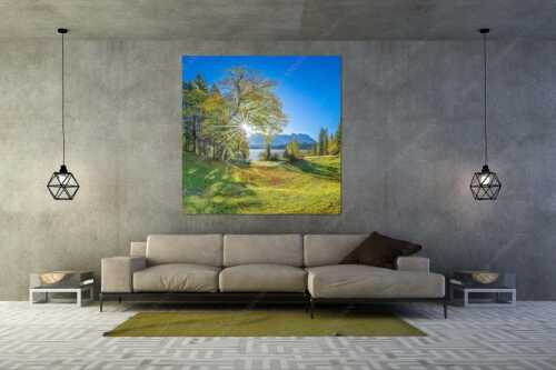 Blick über den Barmsee zum Karwendelgebirge - Schönste Plätze II - Größe ca. 160x160cm, Seitenverhältnis - Alter Ahorn am Barmsee - weitere Infos unter https://www.kriner-weiermann.de