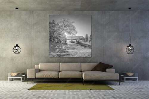 Blick über den Barmsee zum Karwendelgebirge - Schönste Plätze II - Größe ca. 160x160cm, Seitenverhältnis - Alter Ahorn am Barmsee - weitere Infos unter https://www.kriner-weiermann.de