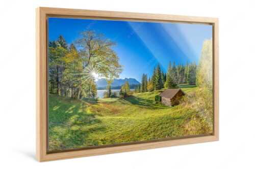 Blick über den Barmsee zum Karwendelgebirge - Schönste Plätze II - Foto im Schattenfugen-Rahmen - Alter Ahorn am Barmsee - weitere Infos unter https://www.kriner-weiermann.de