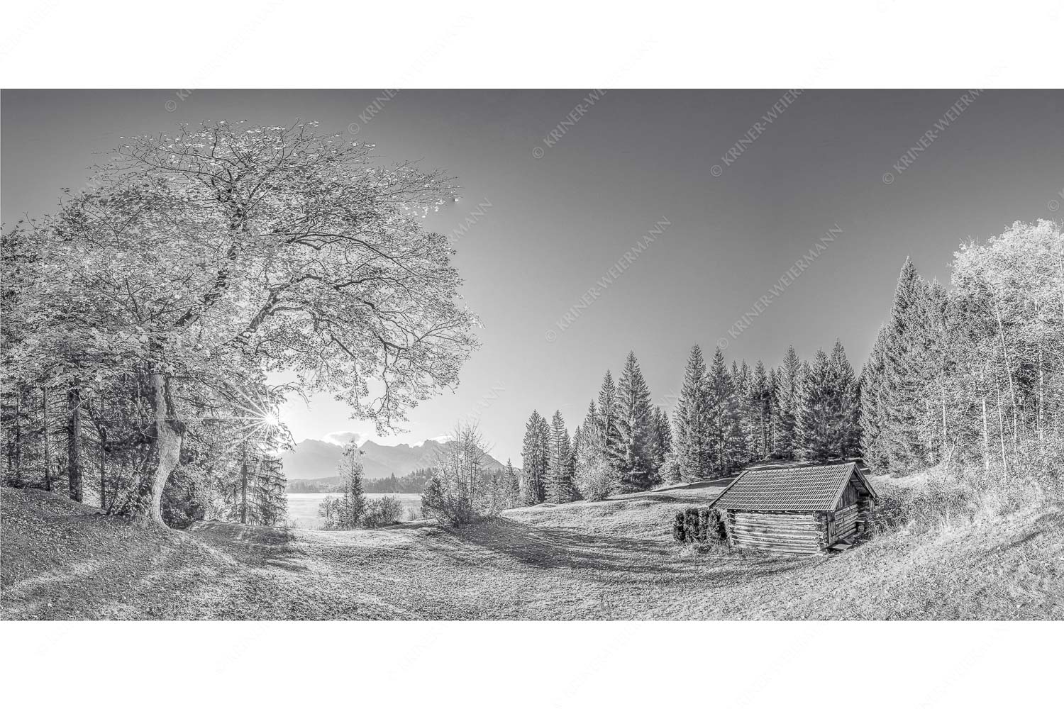 Schönste Plätze III – Seitenverhältnis 2:1 — Ahorn am Barmsee mit Karwendel Blick über den Barmsee zum Karwendelgebirge