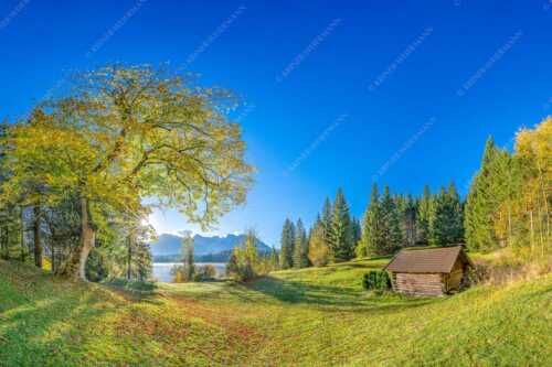 Blick über den Barmsee zum Karwendelgebirge - Schönste Plätze III - Seitenverhältnis 3:2 - Ahorn am Barmsee mit Karwendel - weitere Infos unter https://www.kriner-weiermann.de