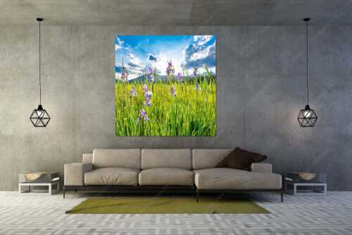 Schwertlilienblüte am Barmsee mit Estergebirge - Sommerliche Blüten - Größe ca. 160x160cm, Seitenverhältnis 1 - Schwertlilienblüte Iris - weitere Infos unter https://www.kriner-weiermann.de