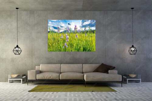 Schwertlilienblüte am Barmsee mit Estergebirge - Sommerliche Blüten - Größe ca. 180x120cm, Seitenverhältnis 3 - Schwertlilienblüte Iris - weitere Infos unter https://www.kriner-weiermann.de