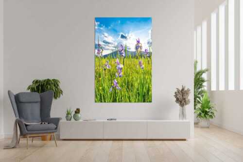 Schwertlilienblüte am Barmsee mit Estergebirge - Sommerliche Blüten - Größe ca. 120x180cm, Seitenverhältnis 2 - Schwertlilienblüte Iris - weitere Infos unter https://www.kriner-weiermann.de