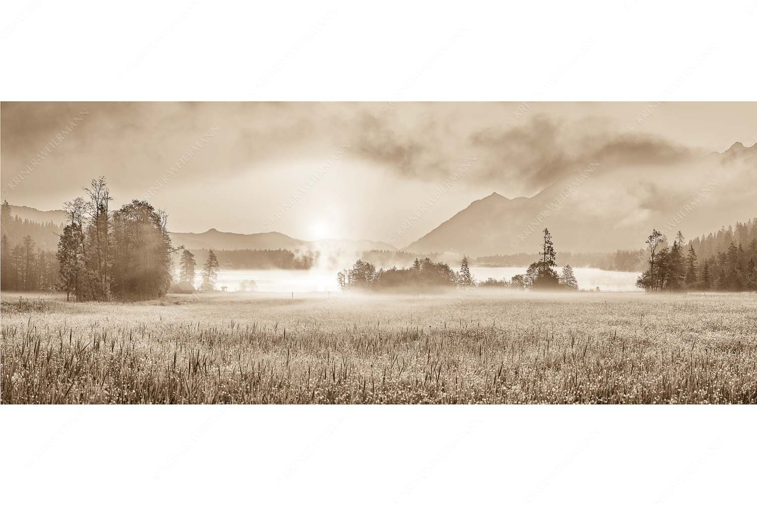 Sommermorgen – Seitenverhältnis 2,5:1 — Barmsee Blumenwiese Sonnenaufgang Blick über den Barmsee in den Sonnenaufgang