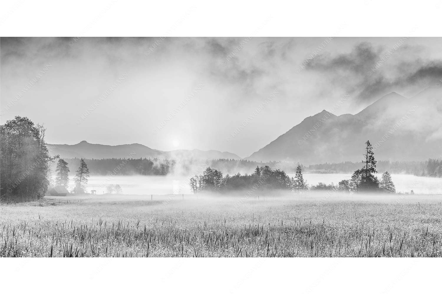 Sommermorgen – Seitenverhältnis 2:1 — Barmsee Blumenwiese Sonnenaufgang Blick über den Barmsee in den Sonnenaufgang