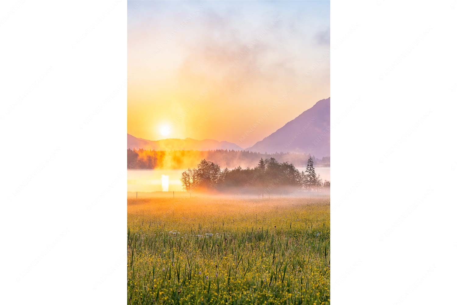Sommermorgen – Seitenverhältnis 2:3 — Barmsee Blumenwiese Sonnenaufgang Blick über den Barmsee in den Sonnenaufgang
