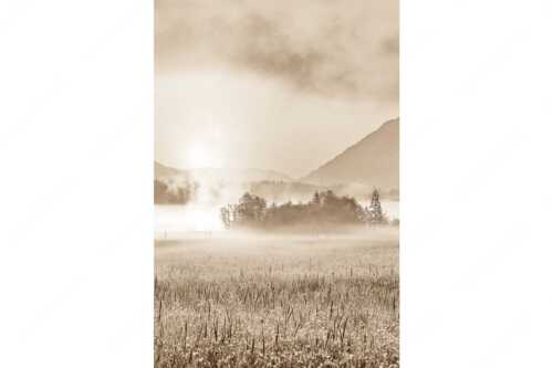 Blick über den Barmsee in den Sonnenaufgang - Sommermorgen - Seitenverhältnis 2:3 - Barmsee Blumenwiese Sonnenaufgang - weitere Infos unter https://www.kriner-weiermann.de