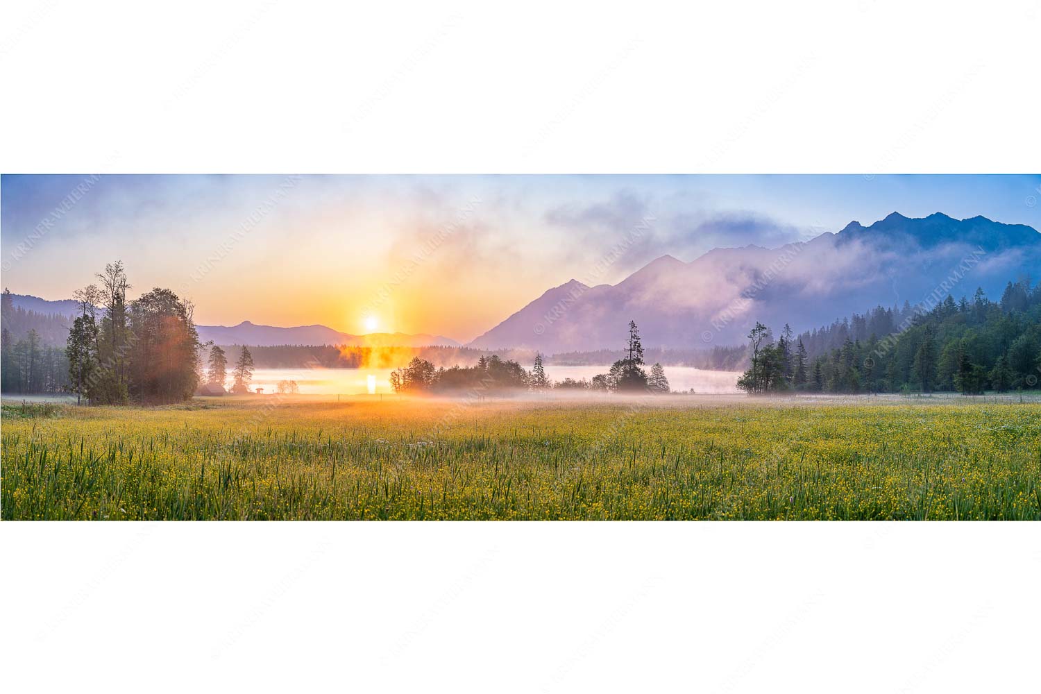 Sommermorgen – Seitenverhältnis 3:1 — Barmsee Blumenwiese Sonnenaufgang Blick über den Barmsee in den Sonnenaufgang