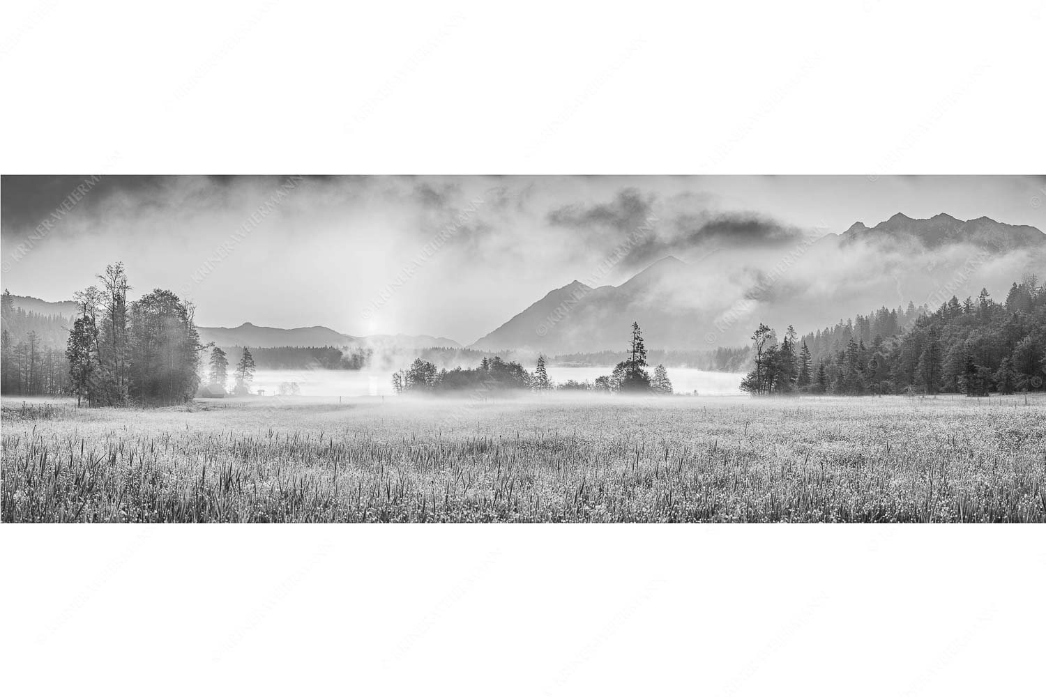 Sommermorgen – Seitenverhältnis 3:1 — Barmsee Blumenwiese Sonnenaufgang Blick über den Barmsee in den Sonnenaufgang