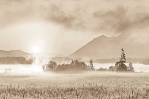 Blick über den Barmsee in den Sonnenaufgang - Sommermorgen - Seitenverhältnis 3:2 - Barmsee Blumenwiese Sonnenaufgang - weitere Infos unter https://www.kriner-weiermann.de