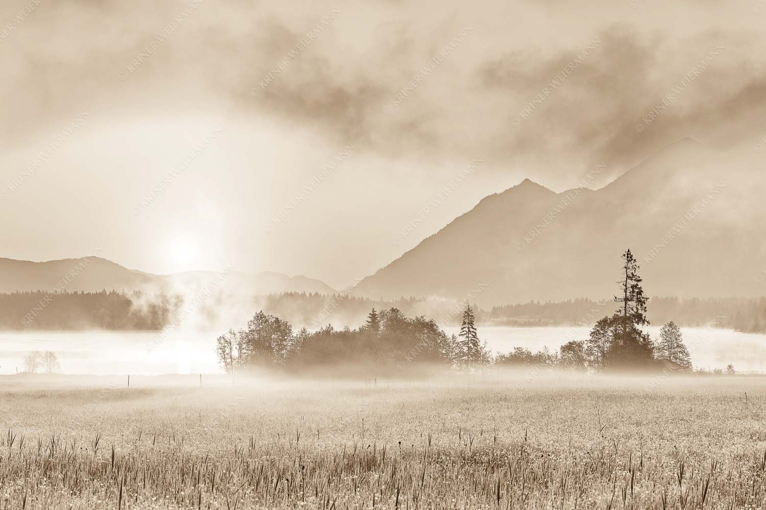 Sommermorgen – Seitenverhältnis 3:2 — Barmsee Blumenwiese Sonnenaufgang Blick über den Barmsee in den Sonnenaufgang