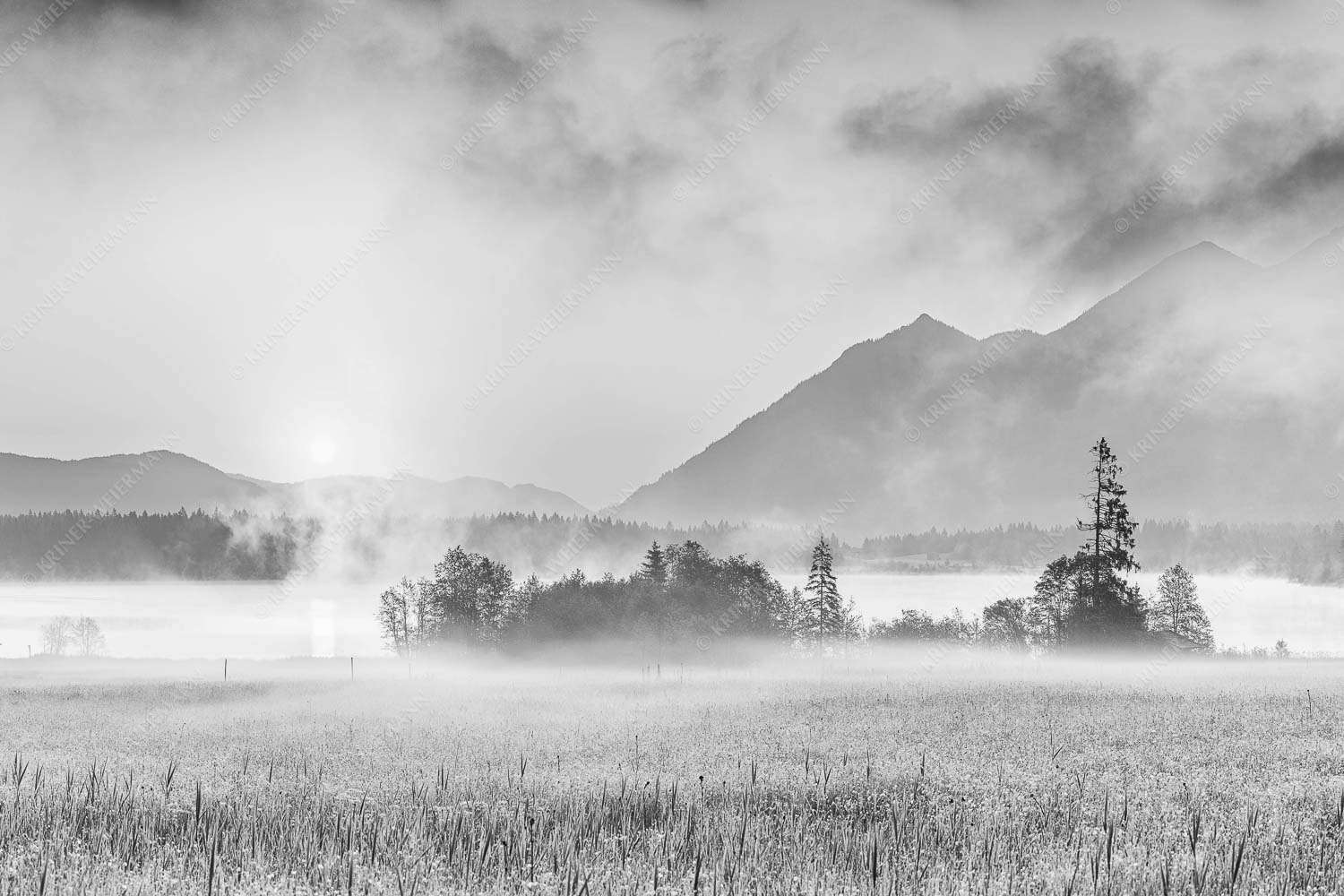 Sommermorgen – Seitenverhältnis 3:2 — Barmsee Blumenwiese Sonnenaufgang Blick über den Barmsee in den Sonnenaufgang
