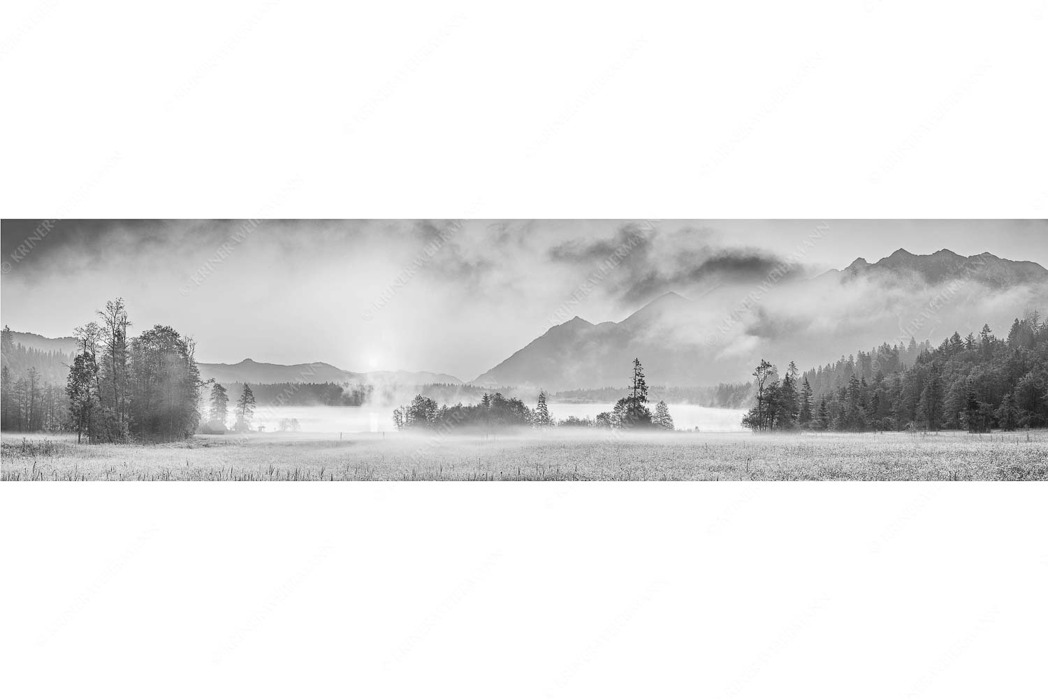 Sommermorgen – Seitenverhältnis 4:1 — Barmsee Blumenwiese Sonnenaufgang Blick über den Barmsee in den Sonnenaufgang