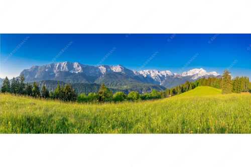 Blick zum Eckbauer und dem Wettertsteingebirge mit Alpspitze und Zugspitze - Sommerwiesenpanorama - Seitenverhältnis 2,5:1 - Wetterstein mit Zugspitzmassiv - weitere Infos unter https://www.kriner-weiermann.de
