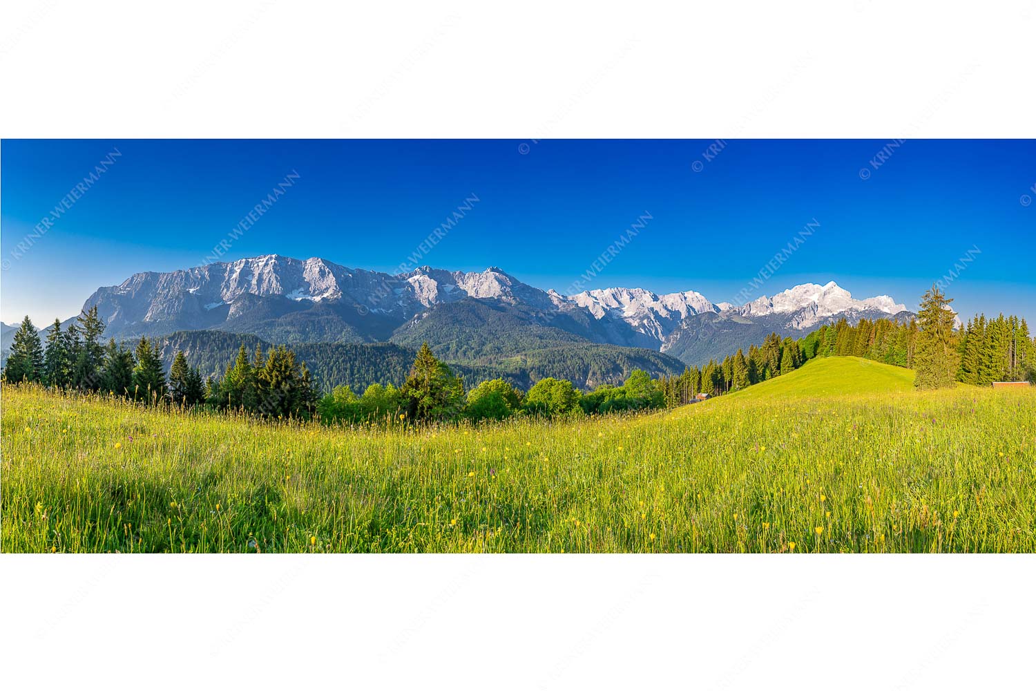 Blick zum Eckbauer und dem Wettertsteingebirge mit Alpspitze und Zugspitze - Sommerwiesenpanorama - Seitenverhältnis 2,5:1 - Wetterstein mit Zugspitzmassiv - weitere Infos unter https://www.kriner-weiermann.de
