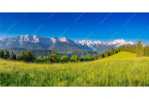 Blick zum Eckbauer und dem Wettertsteingebirge mit Alpspitze und Zugspitze - Sommerwiesenpanorama - Seitenverhältnis 2:1 - Wetterstein mit Zugspitzmassiv - weitere Infos unter https://www.kriner-weiermann.de