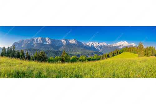 Blick zum Eckbauer und dem Wettertsteingebirge mit Alpspitze und Zugspitze - Sommerwiesenpanorama - Seitenverhältnis 3:1 - Wetterstein mit Zugspitzmassiv - weitere Infos unter https://www.kriner-weiermann.de