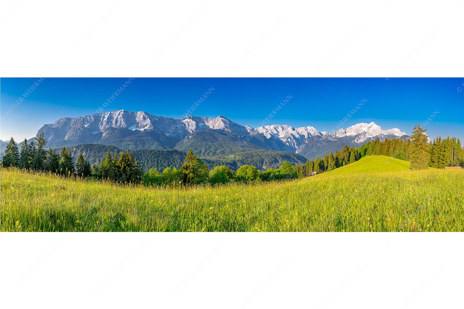 Sommerwiesenpanorama – Seitenverhältnis 3:1 — Wetterstein mit Zugspitzmassiv Blick zum Eckbauer und dem Wettertsteingebirge mit Alpspitze und Zugspitze