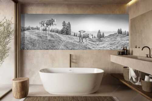 Zwei junge Rinder auf der Wallgauer Alm im Estergebirge bei Sonnenaufgang - Sonnenaufgang auf der Alm - Größe ca. 300x100cm, Seitenverhältnis 3:1 - Kälber auf der Wallgaueralm - weitere Infos unter https://www.kriner-weiermann.de