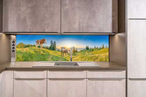 Zwei junge Rinder auf der Wallgauer Alm im Estergebirge bei Sonnenaufgang - Sonnenaufgang auf der Alm - Größe ca. 200x50cm, Seitenverhältnis ca: 4:1 - Kälber auf der Wallgaueralm - weitere Infos unter https://www.kriner-weiermann.de