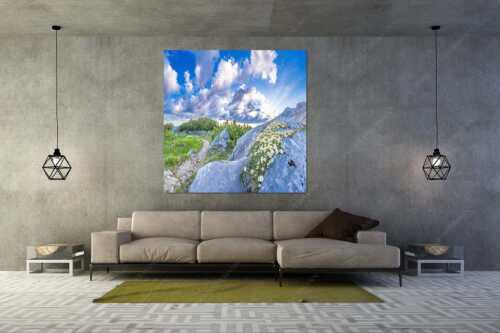 Silberwurzblüten am Wegesrand vom Schachen zur Meilerhütte im Wettersteingebirge - Steinige Blüten - Größe ca. 160x160cm, Seitenverhältnis 1:1 - Silberwurz am Schachen - weitere Infos unter https://www.kriner-weiermann.de