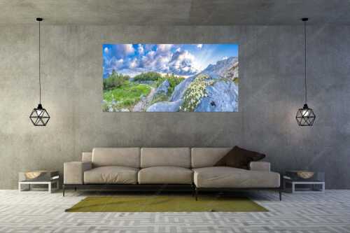 Silberwurzblüten am Wegesrand vom Schachen zur Meilerhütte im Wettersteingebirge - Steinige Blüten - Größe ca. 200x100cm, Seitenverhältnis 2:1 - Silberwurz am Schachen - weitere Infos unter https://www.kriner-weiermann.de