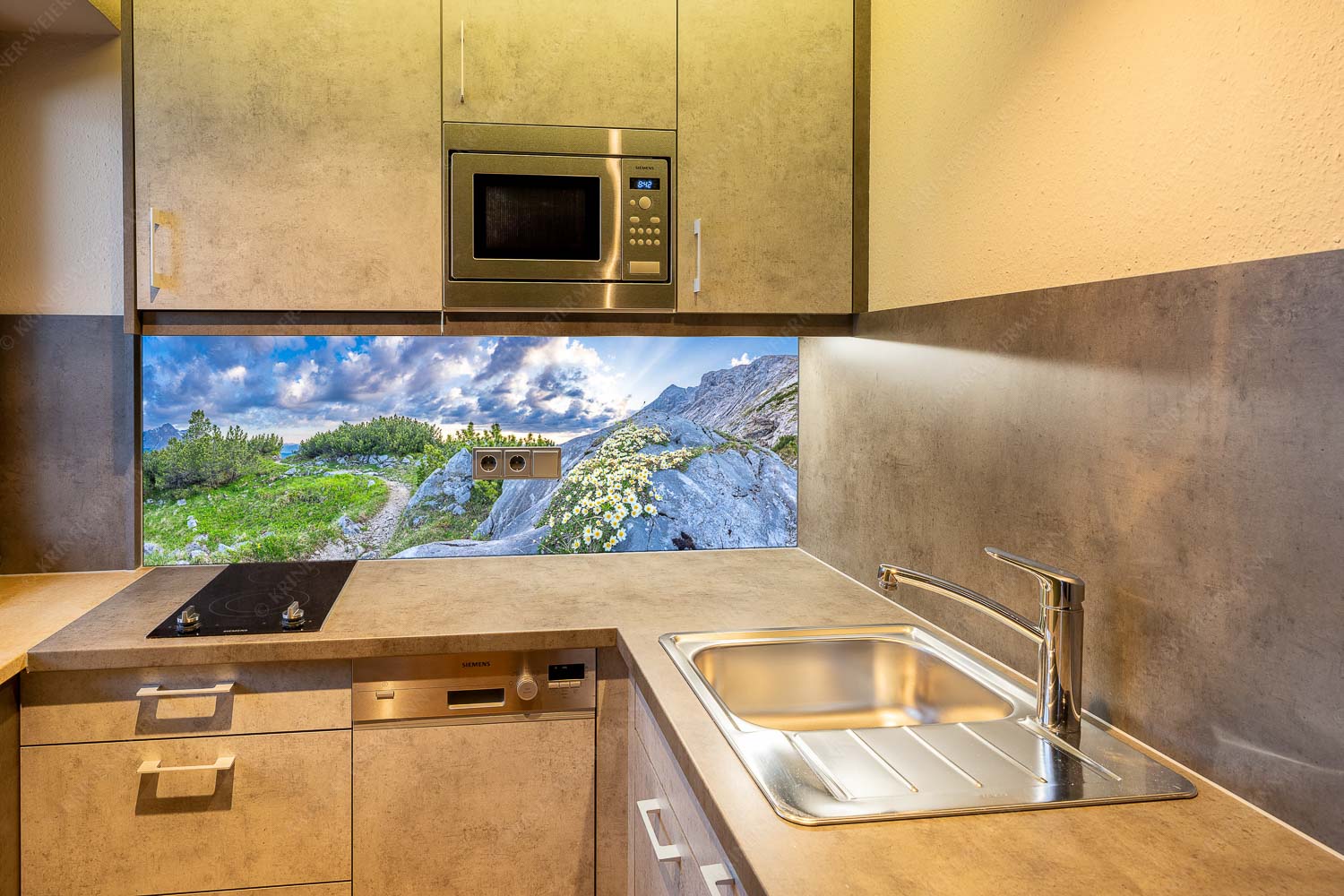 Steinige Blüten – Größe ca. 150x60cm, Seitenverhältnis 2,5:1 — Silberwurz am Schachen Silberwurzblüten am Wegesrand vom Schachen zur Meilerhütte im Wettersteingebirge - Steinige Blüten - Größe ca. 150x60cm, Seitenverhältnis 2,5:1 - Silberwurz am Schachen - weitere Infos unter https://www.kriner-weiermann.de