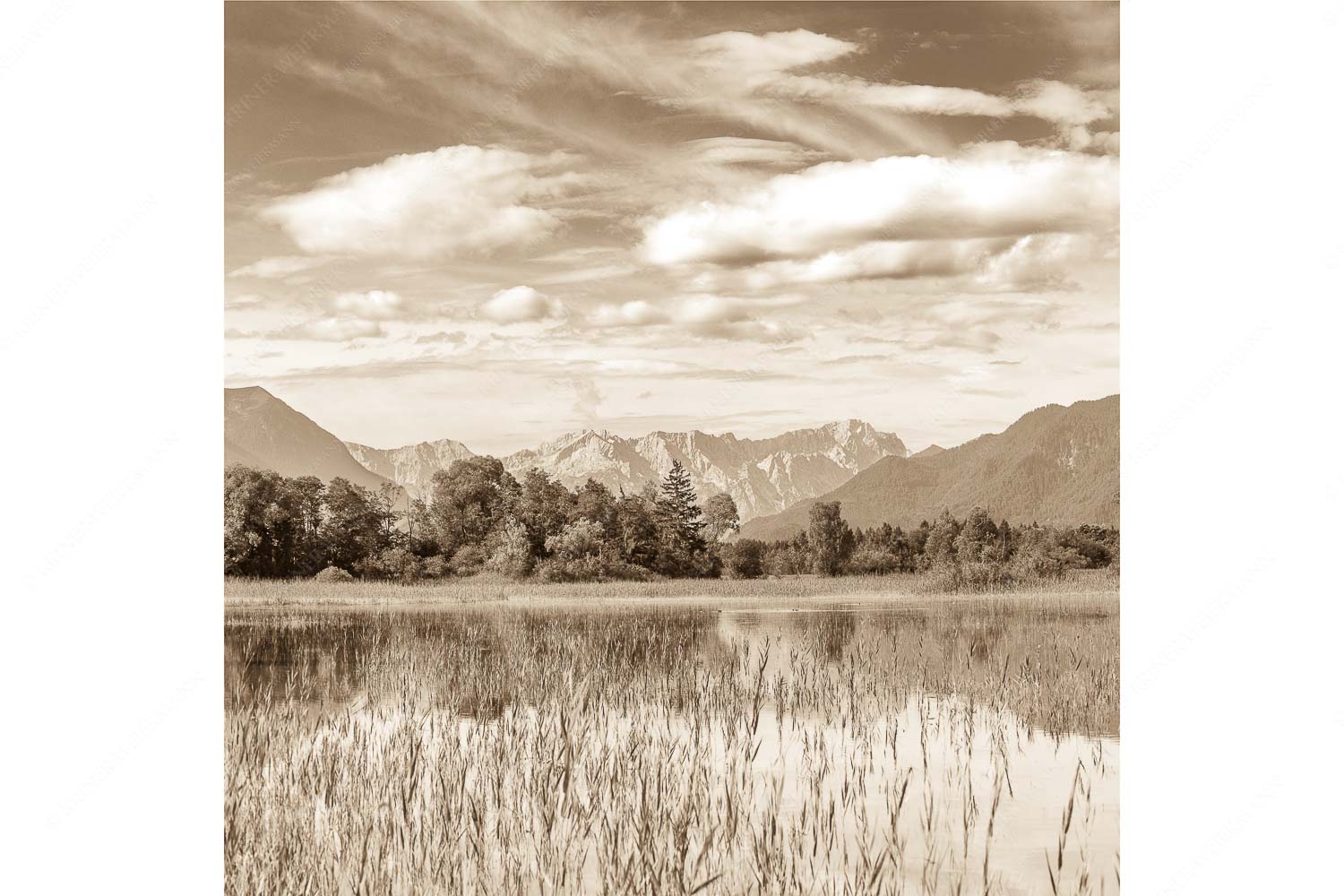 Überfluss – Seitenverhältnis 1:1 — Murnau mit Alpspitze und Zugspitze Überschwemmtes Feld nach Hochwasser bei Murnau mit Zugspitzmassiv