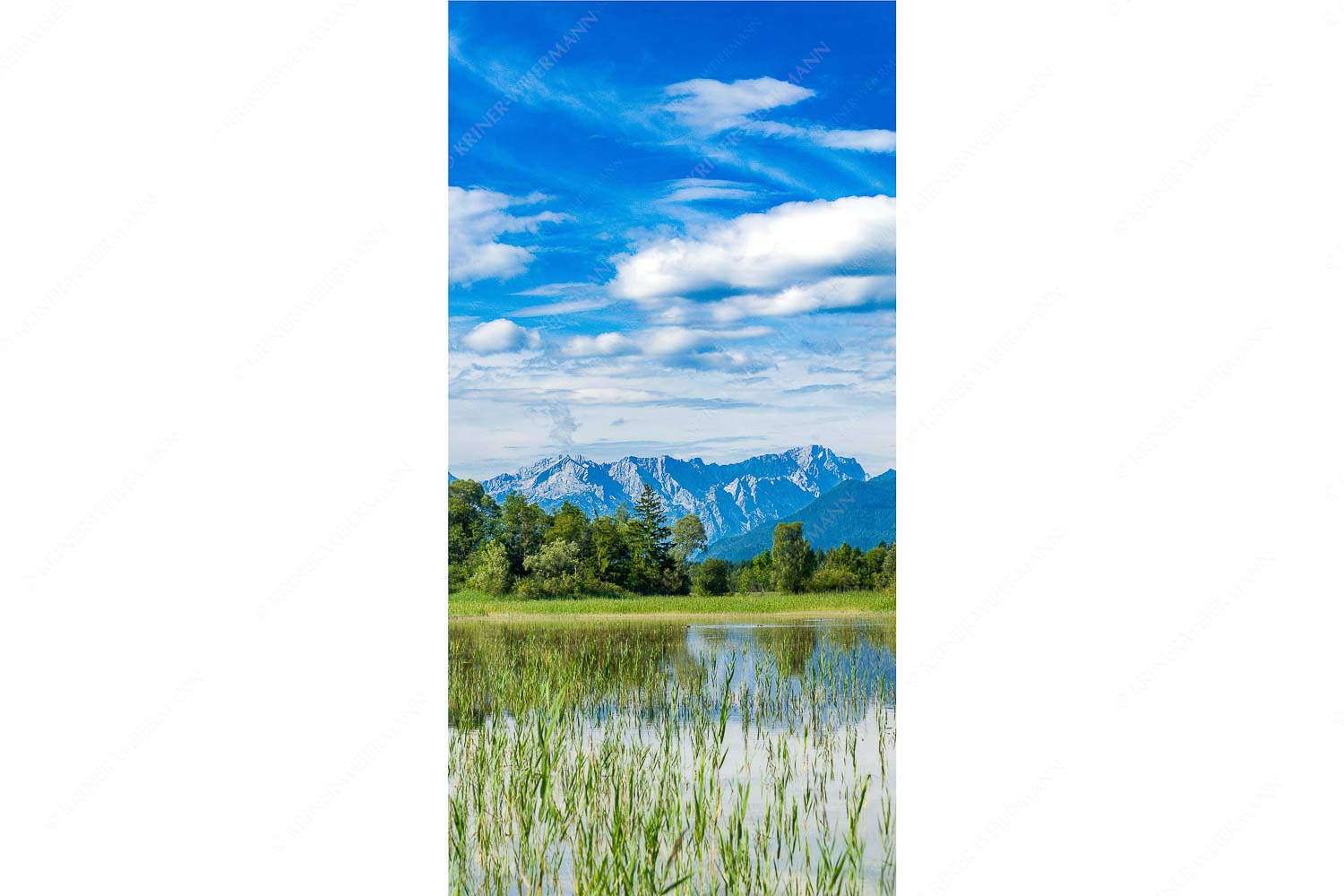 Überfluss – Seitenverhältnis 1:2 — Murnau mit Alpspitze und Zugspitze Überschwemmtes Feld nach Hochwasser bei Murnau mit Zugspitzmassiv