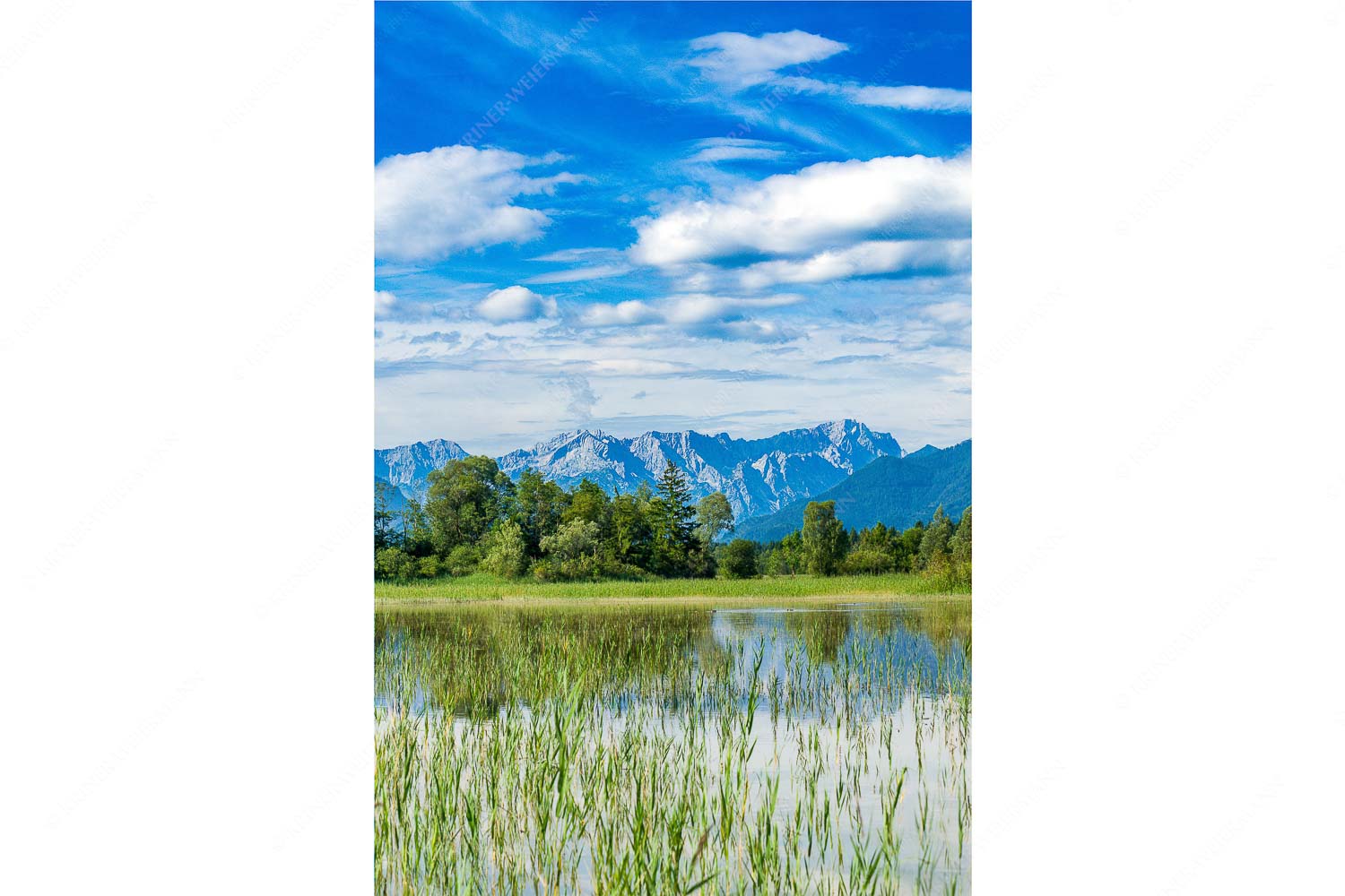 Überschwemmtes Feld nach Hochwasser bei Murnau mit Zugspitzmassiv
