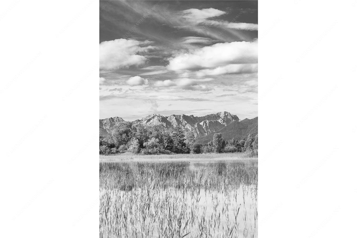 Überfluss – Seitenverhältnis 2:3 — Murnau mit Alpspitze und Zugspitze Überschwemmtes Feld nach Hochwasser bei Murnau mit Zugspitzmassiv