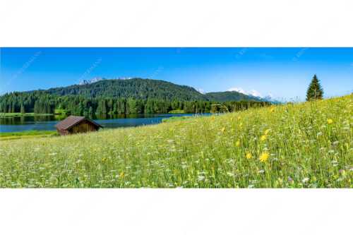 Blick über Blumenwiese am Geroldsee zum Zugspitzmassiv im Wetterstein - Üppiges Wiesmahd - Seitenverhältnis 2,5:1 - Blumenwiese am Geroldsee - weitere Infos unter https://www.kriner-weiermann.de