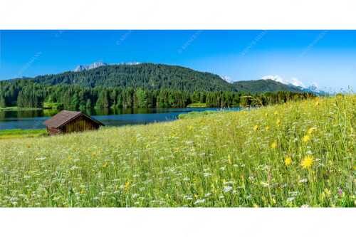 Blick über Blumenwiese am Geroldsee zum Zugspitzmassiv im Wetterstein - Üppiges Wiesmahd - Seitenverhältnis 2:1 - Blumenwiese am Geroldsee - weitere Infos unter https://www.kriner-weiermann.de