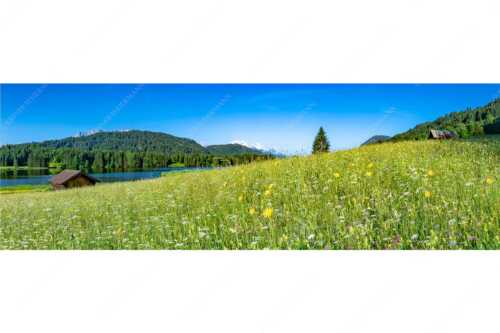 Blick über Blumenwiese am Geroldsee zum Zugspitzmassiv im Wetterstein - Üppiges Wiesmahd - Seitenverhältnis 3:1 - Blumenwiese am Geroldsee - weitere Infos unter https://www.kriner-weiermann.de