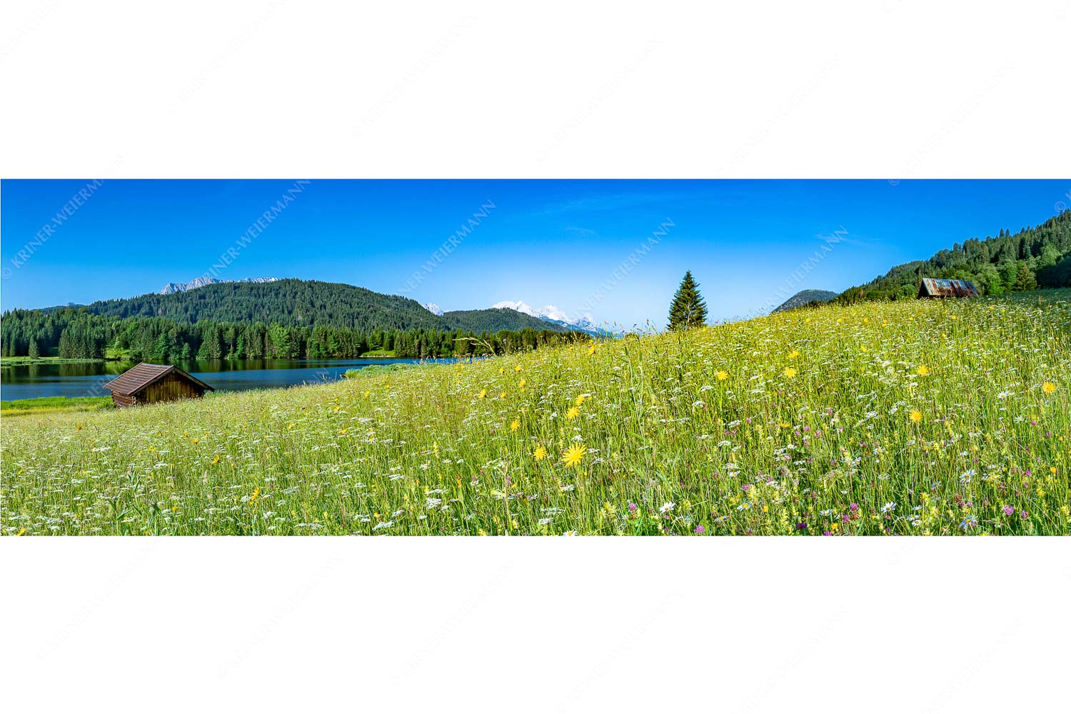 Üppiges Wiesmahd – Seitenverhältnis 3:1 — Blumenwiese am Geroldsee Blick über Blumenwiese am Geroldsee zum Zugspitzmassiv im Wetterstein