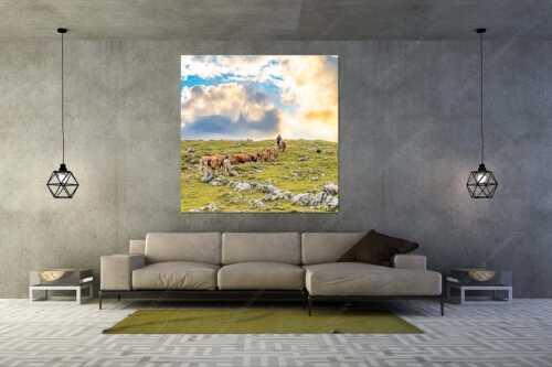 Hirte mit Jungvieh auf der Kuhalm im Estergebirge - Umidreim - Wandbild - Größe ca. 160x160cm, Seitenverhältnis 1:1 - Hirte mit Kälbern auf der Alm - weitere Infos unter https://www.kriner-weiermann.de