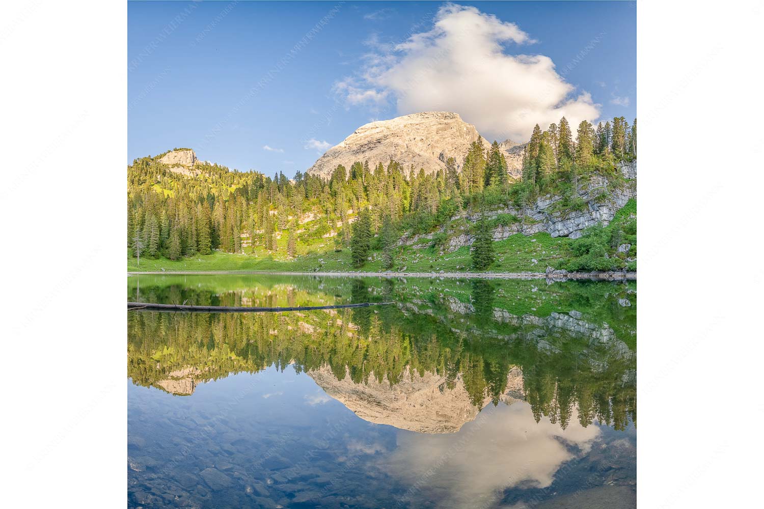 Verborgen – Seitenverhältnis 1:1 — Schachensee im Wettersteingebirge Abseits des Trubels vom Schachenschloss verbirgt sich der Schachensee im Wald
