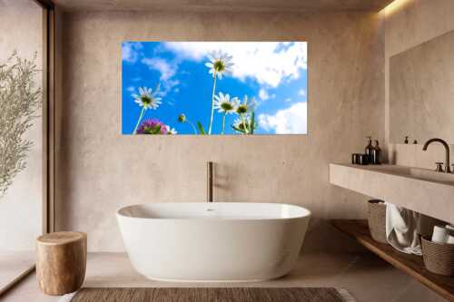 Unteransicht einer Blumenwiese mit Margariten - Von unten auch schön - Größe ca. 180x90cm, Seitenverhältnis 2:1 - Margariten Blumen - weitere Infos unter https://www.kriner-weiermann.de