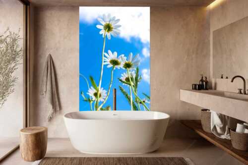 Unteransicht einer Blumenwiese mit Margariten - Von unten auch schön - Größe ca. 160x240cm, Seitenverhältnis 2:3 - Margariten Blumen - weitere Infos unter https://www.kriner-weiermann.de