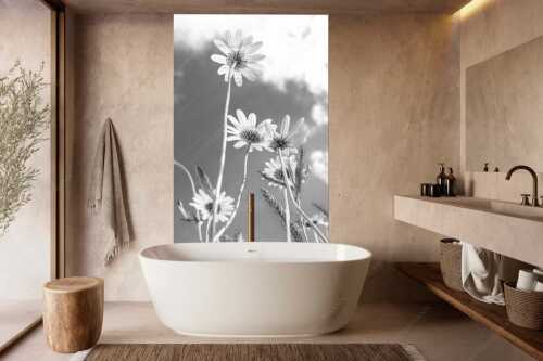 Unteransicht einer Blumenwiese mit Margariten - Von unten auch schön - Größe ca. 160x240cm, Seitenverhältnis 2:3 - Margariten Blumen - weitere Infos unter https://www.kriner-weiermann.de