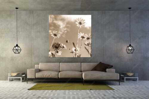 Unteransicht einer Blumenwiese mit Margariten - Von unten auch schön - Größe ca. 160x160cm, Seitenverhältnis 1:1 - Margariten Blumen - weitere Infos unter https://www.kriner-weiermann.de